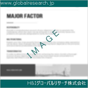 グローバルリサーチ調査資料のイメージ